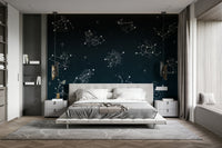 The zodiac symbols and constellations are a central focus of the image.

